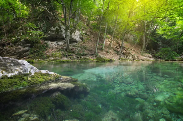 Fiume profondo nella foresta . — Foto Stock