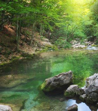 nehir dağ orman derin içinde