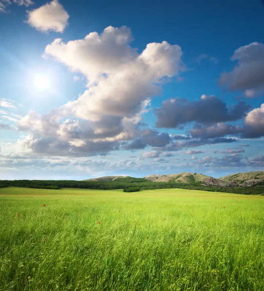 Grüne Wiese in den Bergen. — Stockfoto