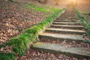 Betondan tepeye çıkan merdivenler. Doğa ve inşaat sahnesi. 