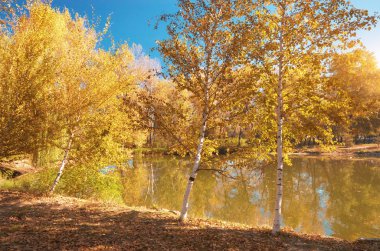 Sonbahar manzarası.
