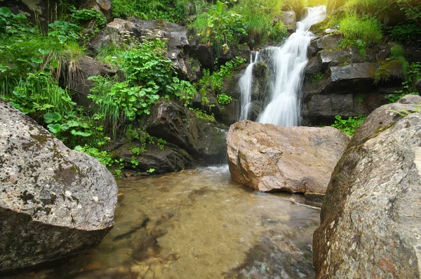 Spring rill flow. — Stock Photo, Image