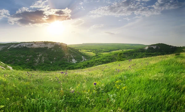 Panorama de montagne Paysage . — Photo