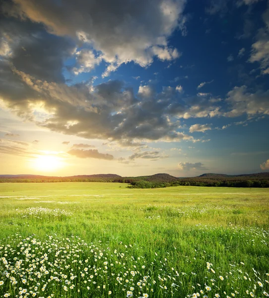 Pradera verde en la montaña. — Foto de Stock