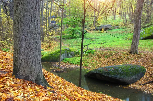 Landschaft im Park. — Stockfoto