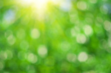 bokeh doğa arka plan.