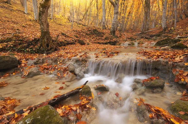 Höstens natur landskap. — Stockfoto