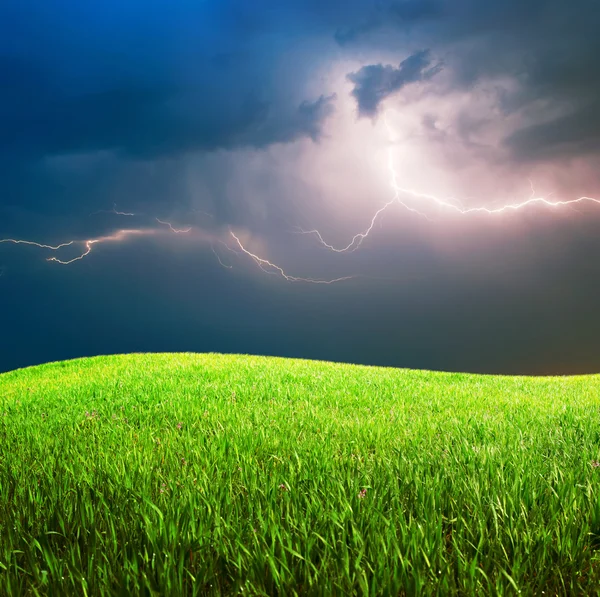 Gras und tiefblauer Himmel — Stockfoto