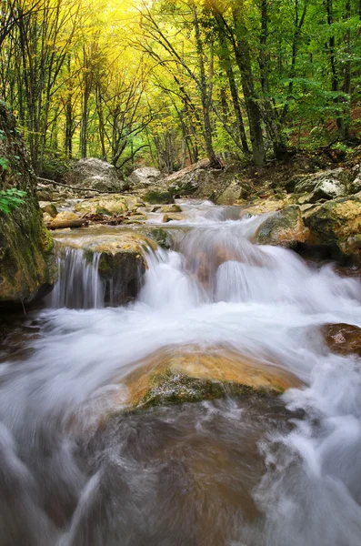 Flujo del arroyo de primavera — Foto de Stock