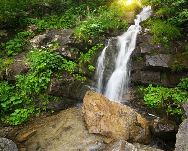 Flusso del rill primaverile . — Foto Stock