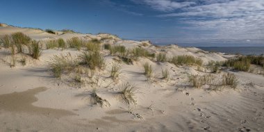 Gün ortasında kum tepeleri. Curonian Tükürüğü, Litvanya.