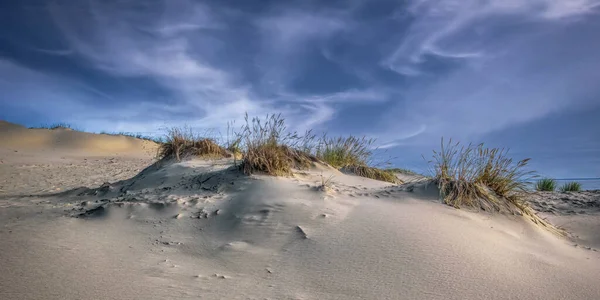 Kroniskt Spottade Sanddynerna Curonian Lagoon Utsiktsplats Lagun Och Spotta Mitt — Stockfoto