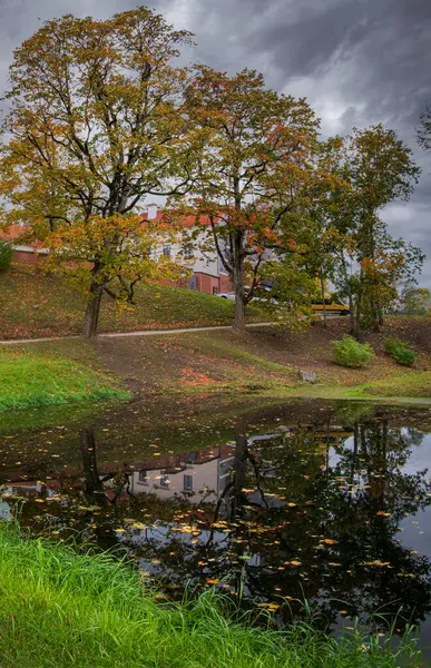 Парк Возле Ренессансного Замка Панемуне Клен Осеннего Цвета Мягкая Осень — стоковое фото