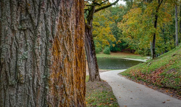 Beau Parc Près Château Panemune Renaissance Érable Une Couleur Automnale — Photo