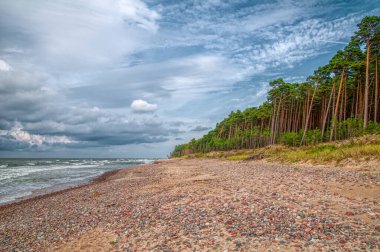 Baltık sahili ve kıyı şeridi ormanı, öğle vakti Bulutlu gökyüzü, Baltık denizi, Karkle, Litvanya.