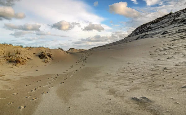 库罗尼亚人吐痰的沙丘在立陶宛库罗尼亚姆吐痰的Nida附近移动沙丘 — 图库照片