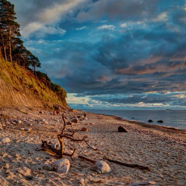 Baltık Sahili, akşam. Sonbaharda gün batımı. Baltık Denizi yakınlarındaki son gün ışığı, Karkle, Litvanya.