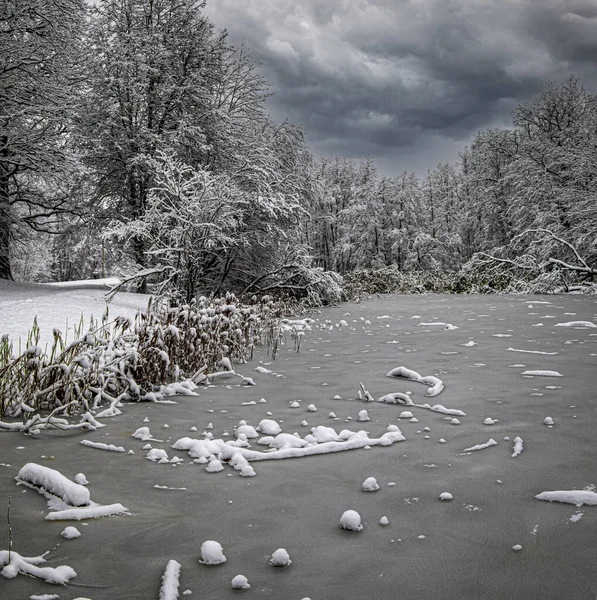 Winter Snowy Day Small Frozen Pond Snow Covered Forest Cloudy — Stock Photo, Image