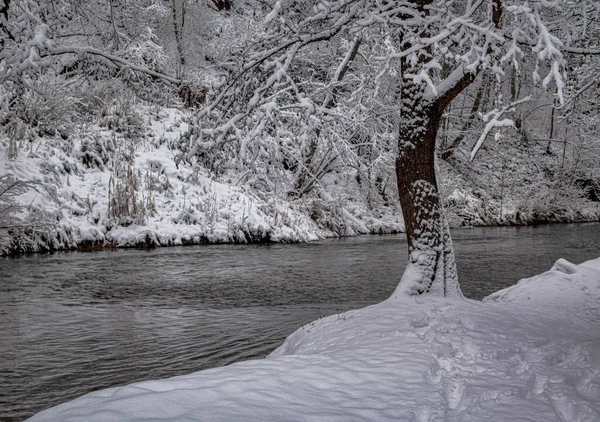 靠近一条小河的冬季雪天 白雪覆盖的森林 黑暗的河水 — 图库照片
