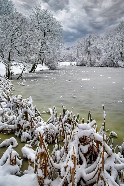 Giorno Nevoso Invernale Vicino Piccolo Stagno Ghiacciato Foresta Innevata Cielo — Foto Stock