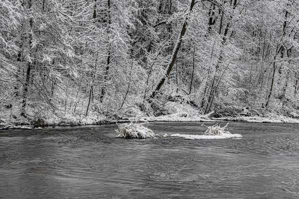 靠近一条小河的冬季雪天 白雪覆盖着森林 黑暗的河水 重点浅薄 — 图库照片