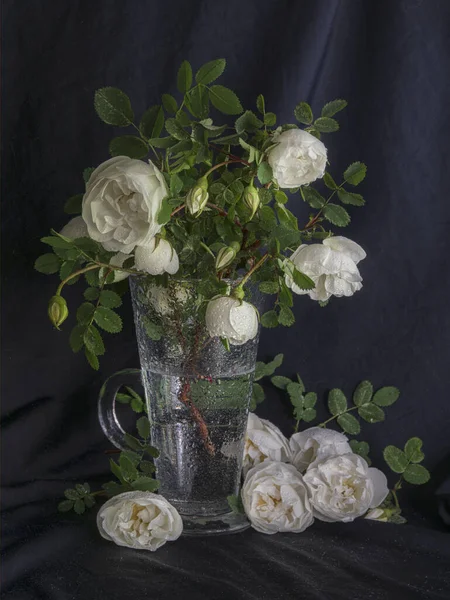 白い犬バラの花束で静物画 濃い青の背景 濡れた花とガラスの花瓶 選択的焦点 — ストック写真