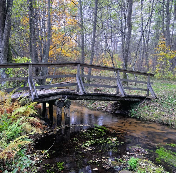 Malý most přes potok — Stock fotografie