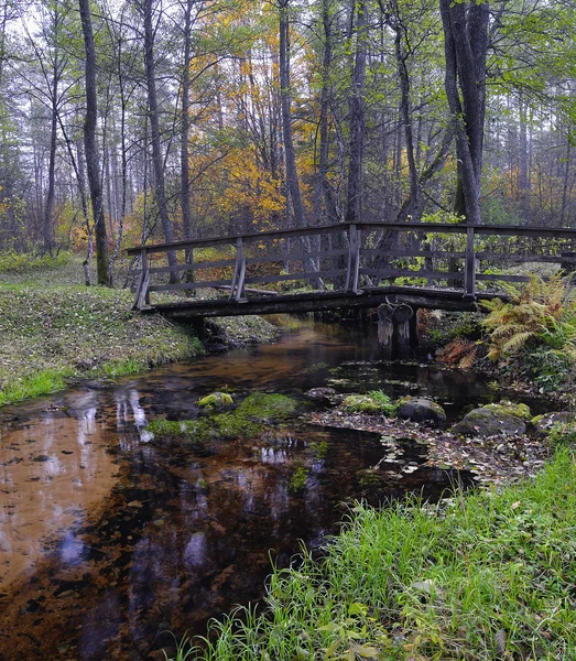 Petit pont au-dessus d'un ruisseau — Photo