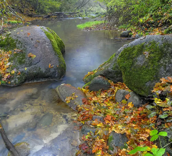 Colori autunno, fiume selvaggio — Foto Stock