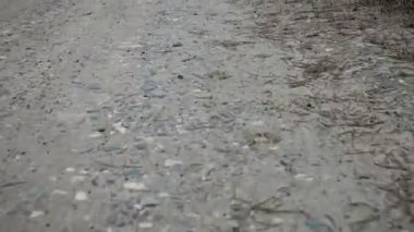 Hareketi kırsal yolda