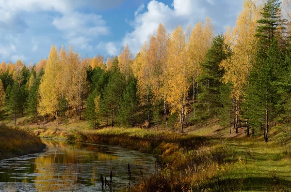 Gelber Herbst am Fluss — Stockfoto