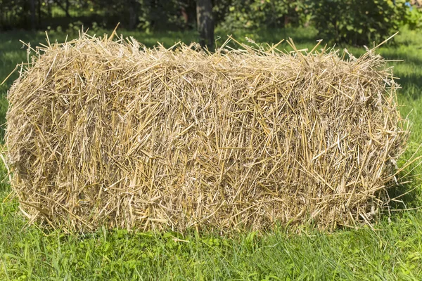 The bale of straw — Stock Photo, Image