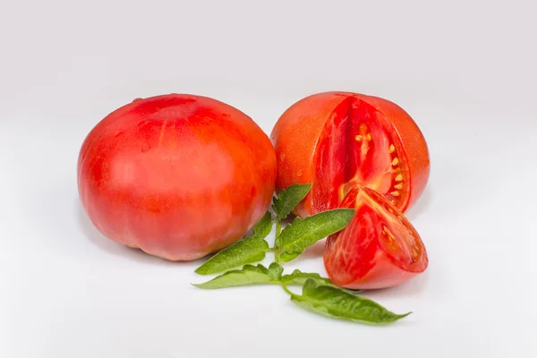 Tomaten-Gigant — Stockfoto