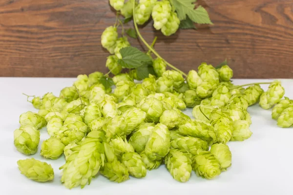 Hops... — Fotografia de Stock