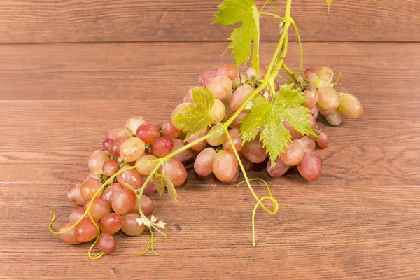 Bunch of grapes — Stock Photo, Image