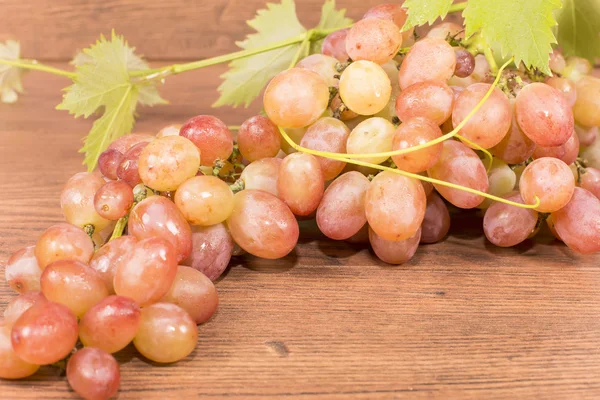 Bunch of grapes — Stock Photo, Image