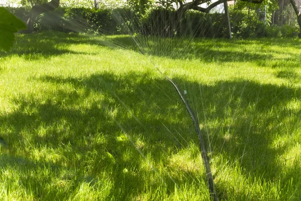 Bewässerungssystem für den Rasen — Stockfoto