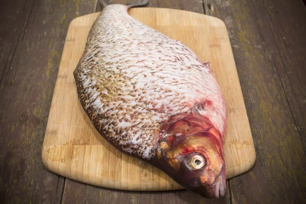 생선 도미 — 스톡 사진