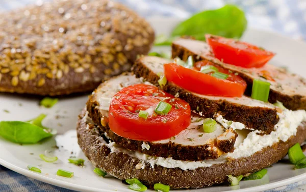 Grain bread sandwich with turkey — Stock Photo, Image