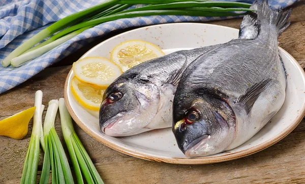 Taze çiğ dorado — Stok fotoğraf