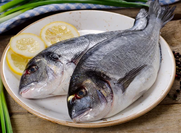 Färska okokta dorado — Stockfoto