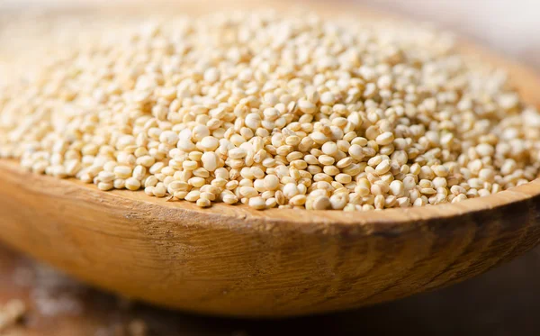 Sementes de quinoa branca — Fotografia de Stock