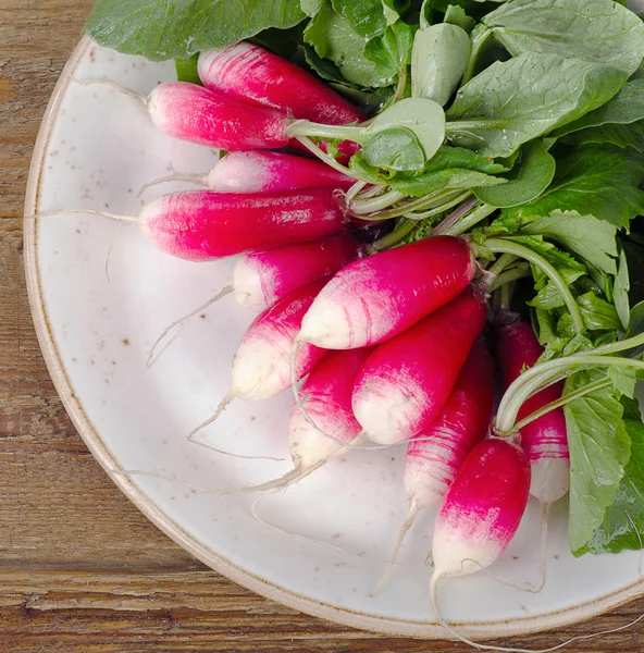 Fresh radishes on plate — Stock Photo, Image