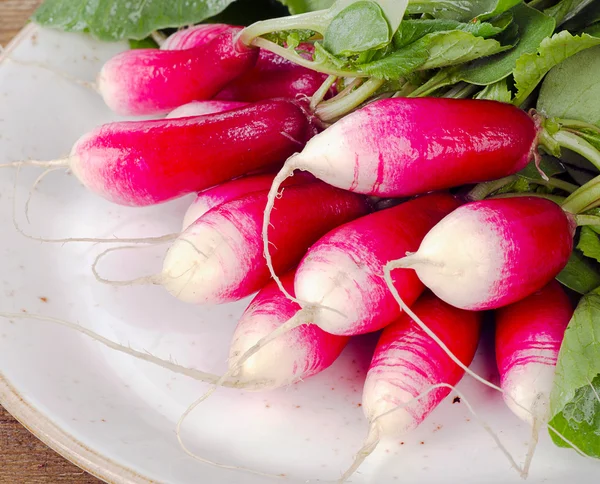 Fresh radishes on plate — Stock Photo, Image