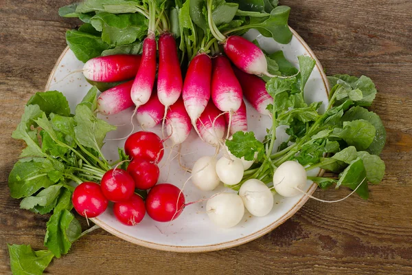 Bundles of fresh organic radishes — Stock Photo, Image