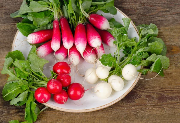 Fresh organic radishes — Stock Photo, Image