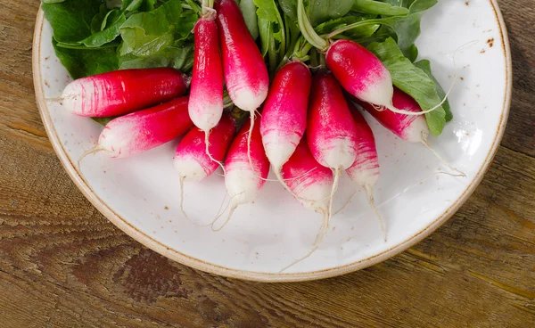 Raw radishes on plate — Stock Photo, Image