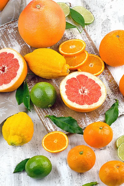 Different Citrus fruits — Stock Photo, Image