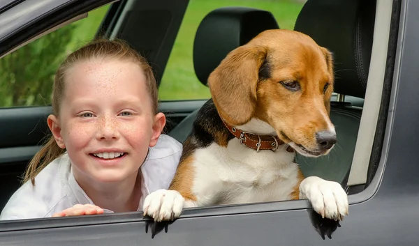 Smilling dziewczyna i beagle szczeniak w samochodzie — Zdjęcie stockowe