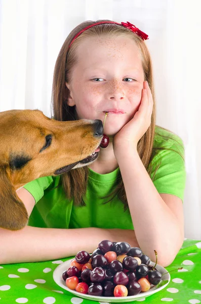 Petite fille drôle avec chien beagle . — Photo